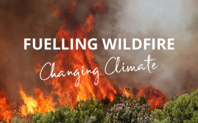 Why a changing climate is fuelling wildfire