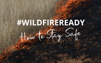 HOW TO STAY SAFE WHEN A WILDFIRE THREATENS